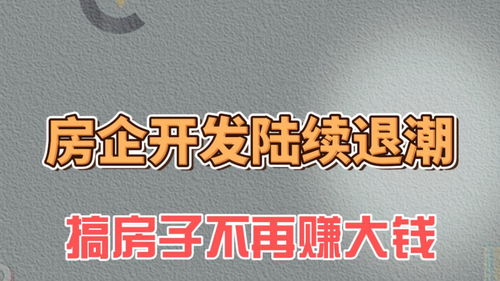 房企開(kāi)發(fā)退潮 地產(chǎn)轉(zhuǎn)型期，房地產(chǎn)信息咨詢的崛起與價(jià)值重塑