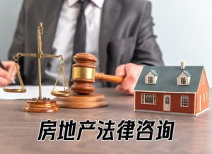 房地產(chǎn)法律咨詢(xún)與房地產(chǎn)信息咨詢(xún) 構(gòu)建投資決策的堅(jiān)實(shí)雙翼